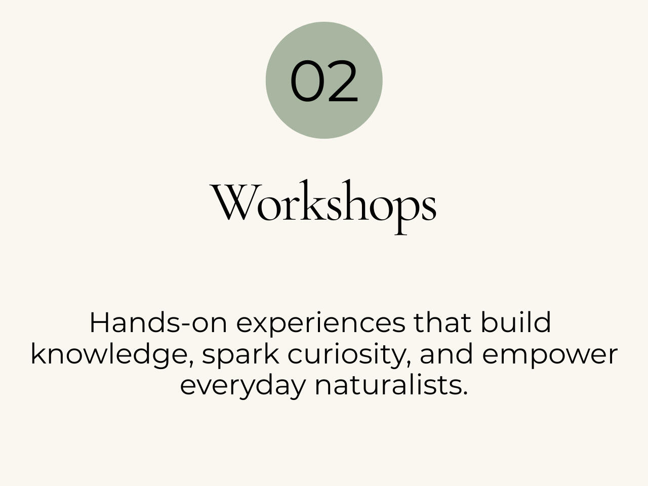 Workshops: Hands-on experiences that build knowledge, spark curiosity, and empower everyday naturalists.